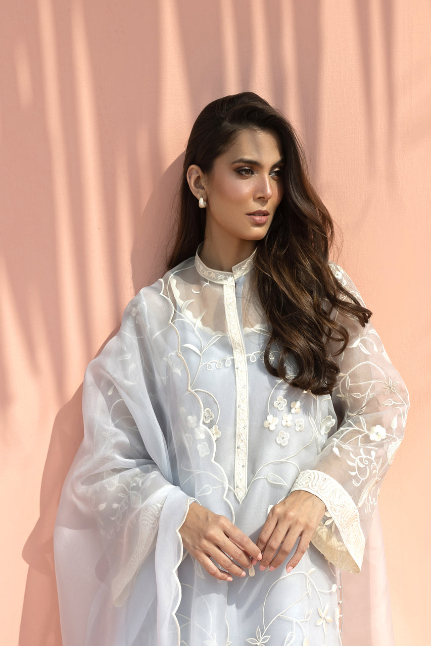 Sania Maskatiya | Eid ul Adha Edit | Fia - by Libasekhas - Registered Vendor of : Sania Maskatiya - 100% Original Designer Dress