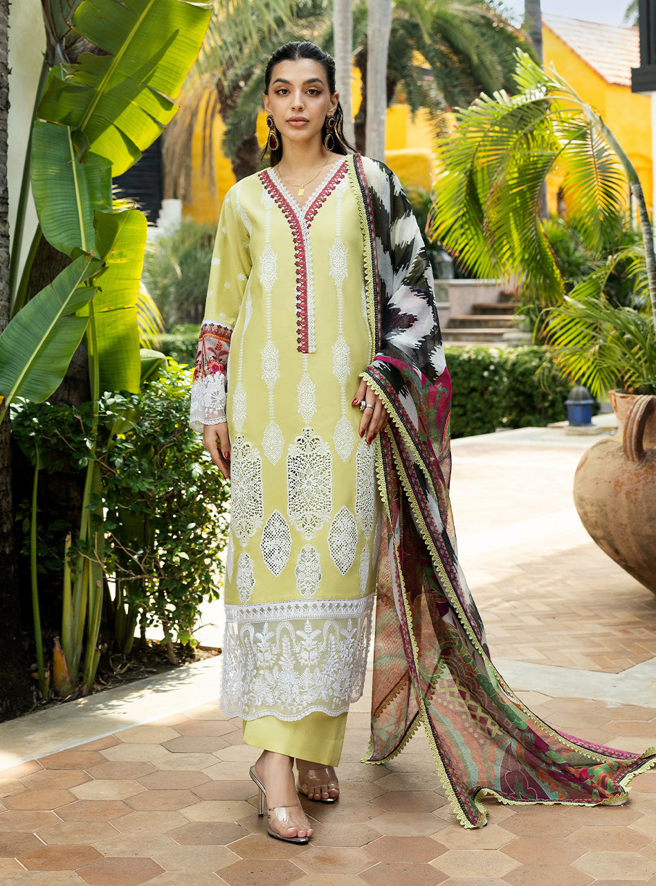 Zainab Chottani | Chikankari 25 | Rayne - 12A - by - Libasekhas UK - Registered Vendor of : Zainab Chottani - 100% Original Designer Dresss