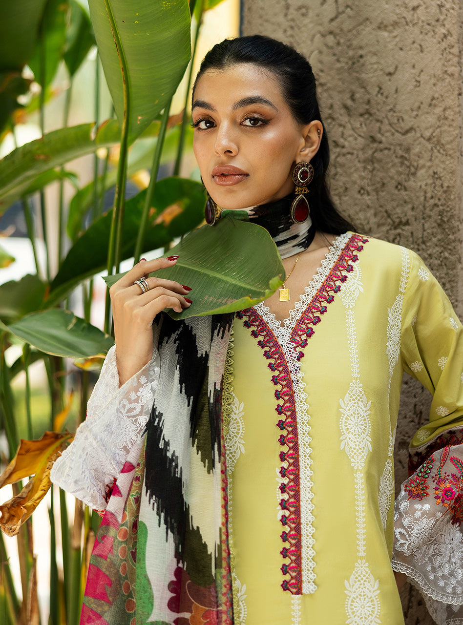 Zainab Chottani | Chikankari 25 | Rayne - 12A - by - Libasekhas UK - Registered Vendor of : Zainab Chottani - 100% Original Designer Dresss