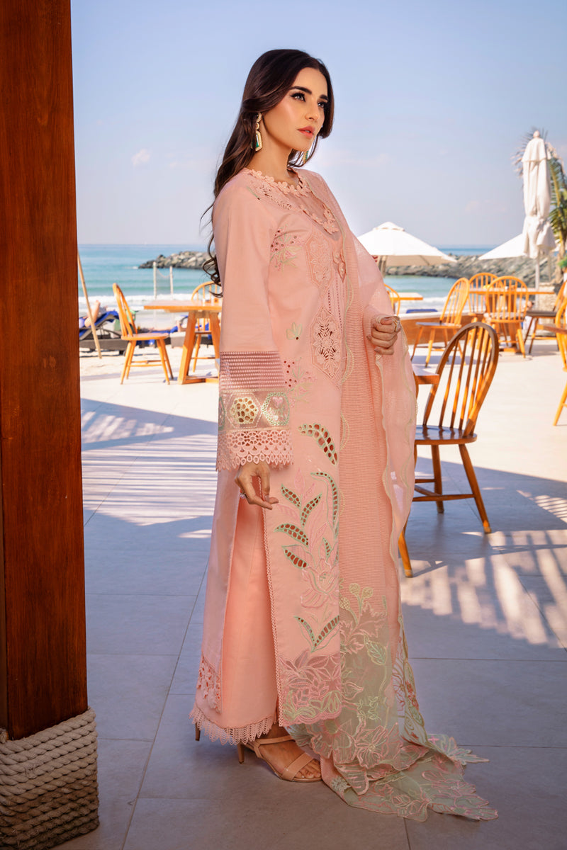 Rangrasiya | Premium Summer Lawn 25 | Bareeha - Ladies Clothes -  Libasekhas