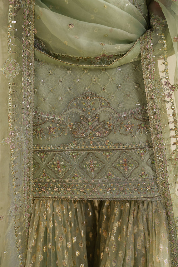 Naqshi | Feemora Organza Raw Silk | Hanam - by Libasekhas UK - Registered Vendor of : Naqshi - 100% Original Designer Dress