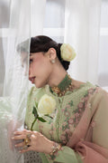 Rangrasiya | Lumeire Silk |Alma - by Libasekhas UK - Registered Vendor of : Rangasiya - 100% Original Designer Dress