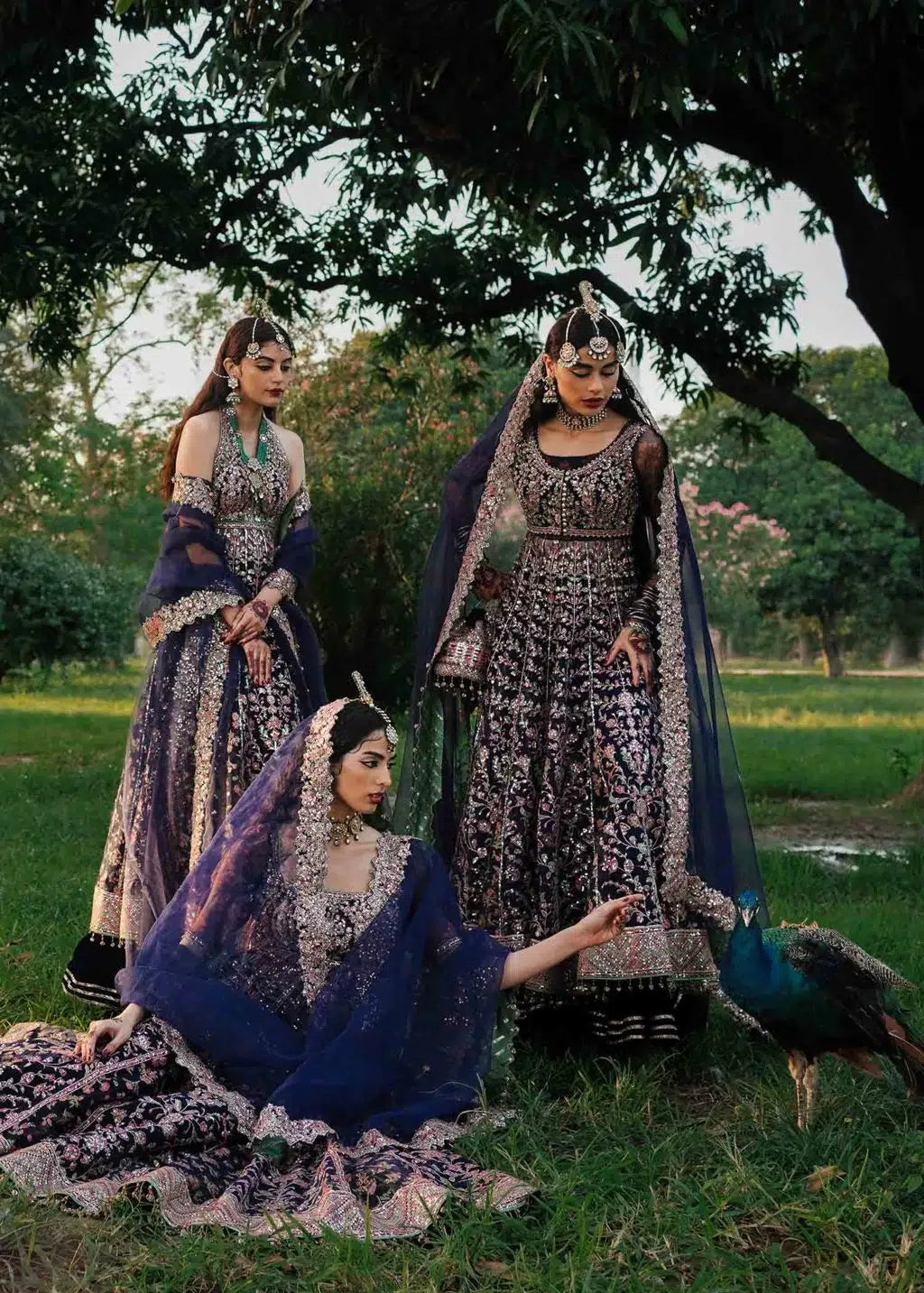Hussain Rehar | Zaib un Nisa 23 | Falak - by - Libasekhas UK - Registered Vendor of : Hussain Rehar - 100% Original Designer Dresss
