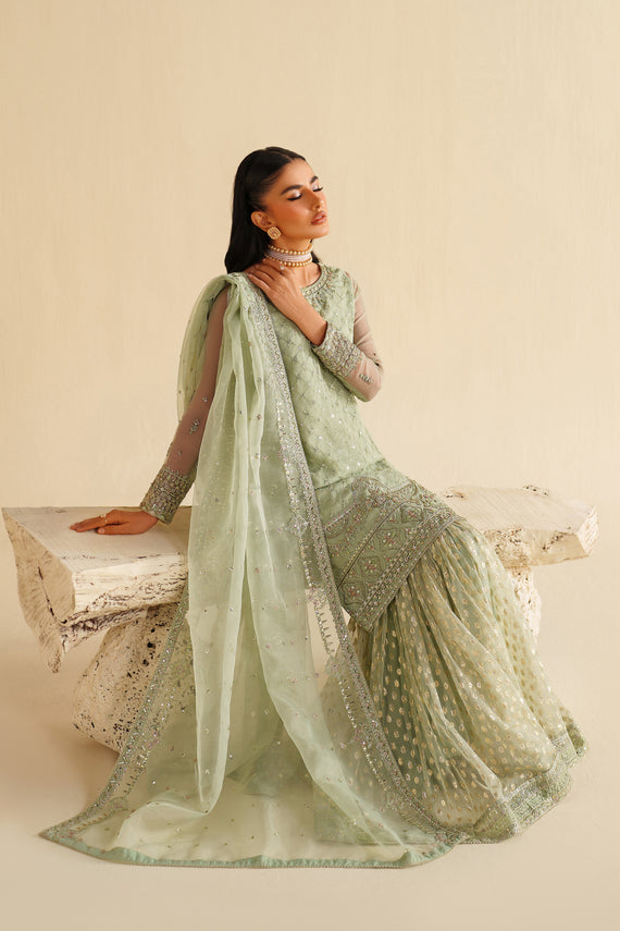 Naqshi | Feemora Organza Raw Silk | Hanam - by Libasekhas UK - Registered Vendor of : Naqshi - 100% Original Designer Dress