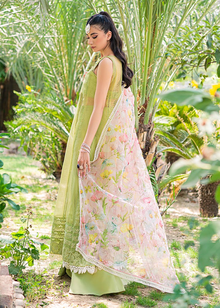 Saira Shakira | Luxury Pret | Wild Rye - by Libasekhas UK - Registered Vendor of : Saira Shakira - 100% Original Designer Dress