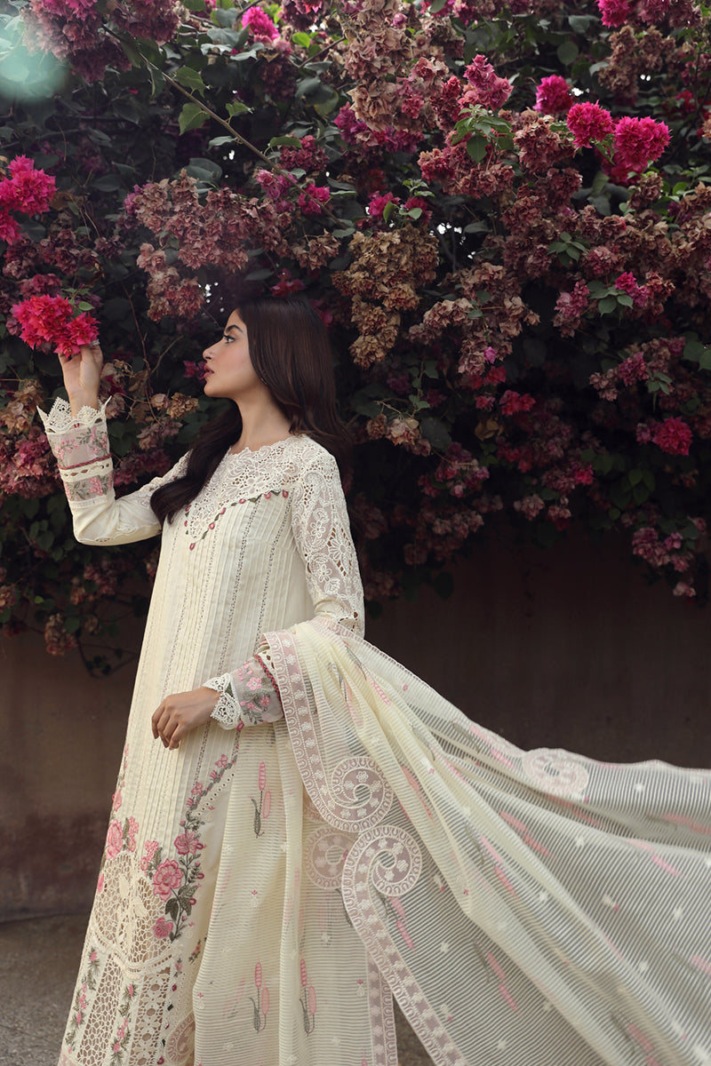 Qalamkar | Festive Lawn 2024 | PS-05 AMAAR - by - Libasekhas UK - Registered Vendor of : Qalamkar - 100% Original Designer Dresss