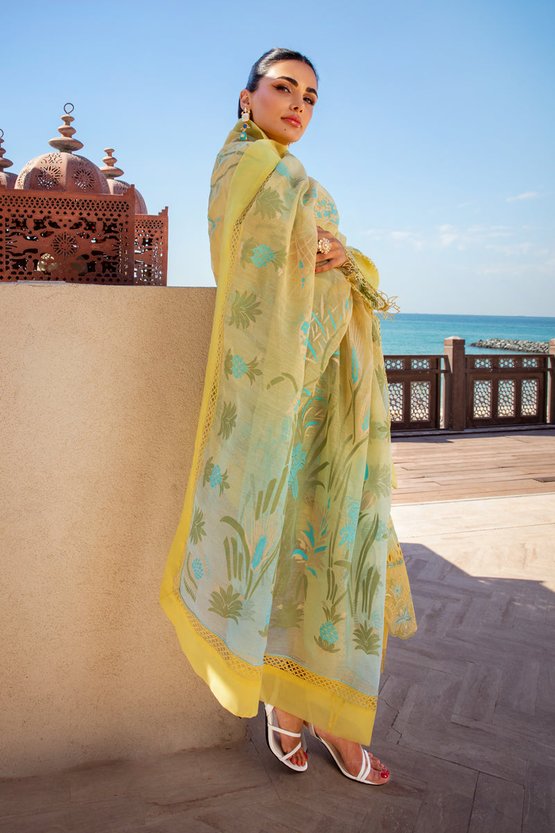 Rangrasiya | Premium Summer Lawn 25 | Minal - Ladies Clothes -  Libasekhas