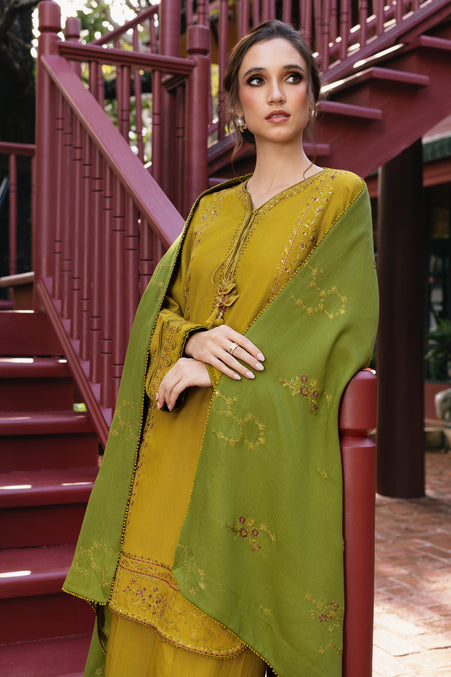 Naqshi | Nuri Khaddar Velvet Marina | Shanara - by Libasekhas UK - Registered Vendor of : Naqshi - 100% Original Designer Dress