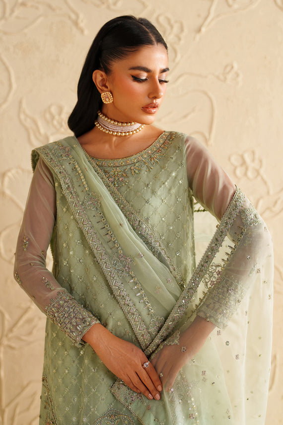 Naqshi | Feemora Organza Raw Silk | Hanam - by Libasekhas UK - Registered Vendor of : Naqshi - 100% Original Designer Dress
