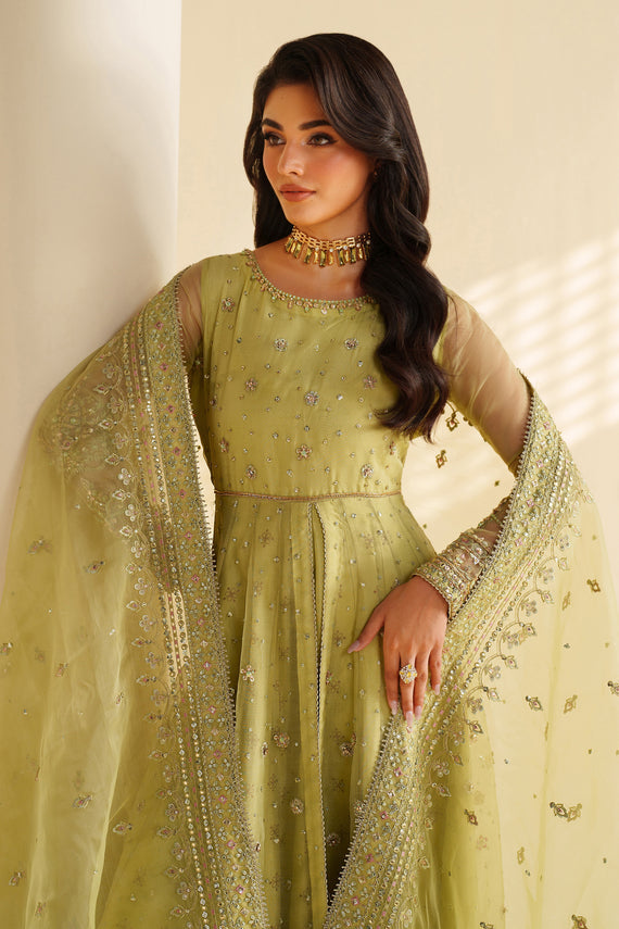 Naqshi | Feemora Organza Raw Silk | Zeesha - by Libasekhas UK - Registered Vendor of : Naqshi - 100% Original Designer Dress