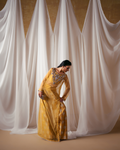 Vasal | Zyra Luxe Pret 26 | Golden Dusk - by Libasekhas UK - Registered Vendor of : Vasal - 100% Original Designer Dress