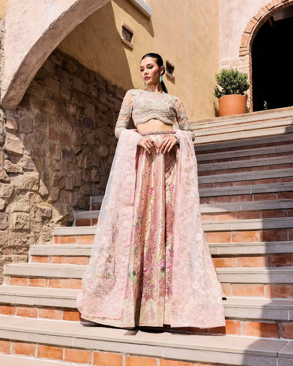 Mysie by Tahira | Alara Bridals 26 | RUMAISA - by Libasekhas - Registered Vendor of : Mysie by Tahira - 100% Original Designer Dress