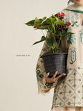 Zara Shahjahan | Coco Lawn 26 | Soren-9B - by Libasekhas UK - Registered Vendor of : Zara Shahjahan - 100% Original Designer Dress