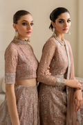 Iznik | Chinnon Chiffon | CC-43 Embroidered Net - by - Libasekhas UK - Registered Vendor of : Iznik - 100% Original Designer Dresss