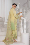 Rangrasiya | Lumeire Silk |Lucia - by Libasekhas UK - Registered Vendor of : Rangrasiya - 100% Original Designer Dress