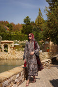 Noor by Saadia Asad | Luxe Chikankari 25 | D2-B - by - Libasekhas UK - Registered Vendor of : Noor by Saadia Asad - 100% Original Designer Dresss