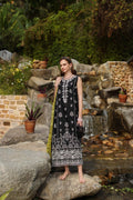 Noor by Saadia Asad | Luxe Chikankari 25 | D3-B - by - Libasekhas UK - Registered Vendor of : Noor by Saadia Asad - 100% Original Designer Dresss