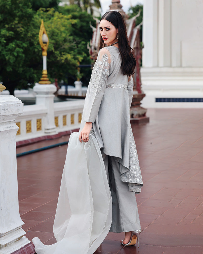 Ain | Prestige Festive Edit | AN-146 C AN-146 C - by Libasekhas UK - Registered Vendor of : Ain - 100% Original Designer Dress