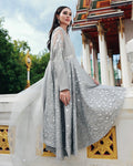 Ain | Prestige Festive Edit | AN-146 C AN-146 C - by Libasekhas UK - Registered Vendor of : Ain - 100% Original Designer Dress