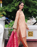 Ain | Prestige Festive Edit | AN-140 D - by Libasekhas UK - Registered Vendor of : Ain - 100% Original Designer Dress