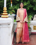 Ain | Prestige Festive Edit | AN-140 D - by Libasekhas UK - Registered Vendor of : Ain - 100% Original Designer Dress