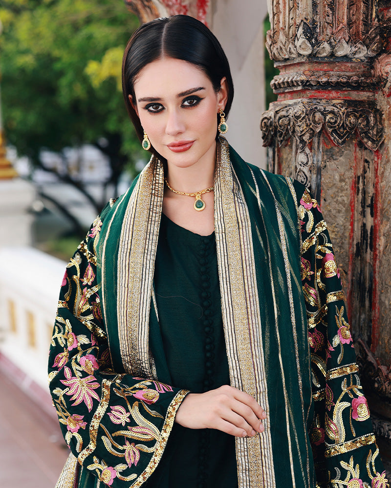 Ain | Prestige Festive Edit | AN-143 B - by Libasekhas UK - Registered Vendor of : Ain - 100% Original Designer Dress