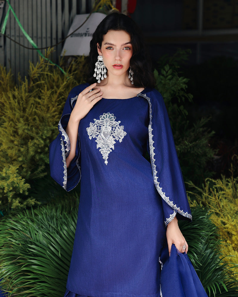 Ain | Prestige Festive Edit | AN-141 E - by Libasekhas UK - Registered Vendor of : Ain - 100% Original Designer Dress