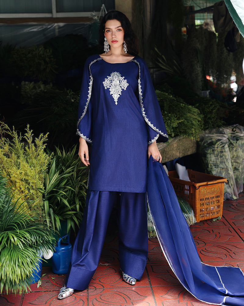 Ain | Prestige Festive Edit | AN-141 E - by Libasekhas UK - Registered Vendor of : Ain - 100% Original Designer Dress