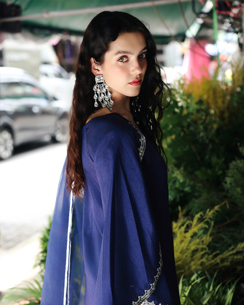 Ain | Prestige Festive Edit | AN-141 E - by Libasekhas UK - Registered Vendor of : Ain - 100% Original Designer Dress