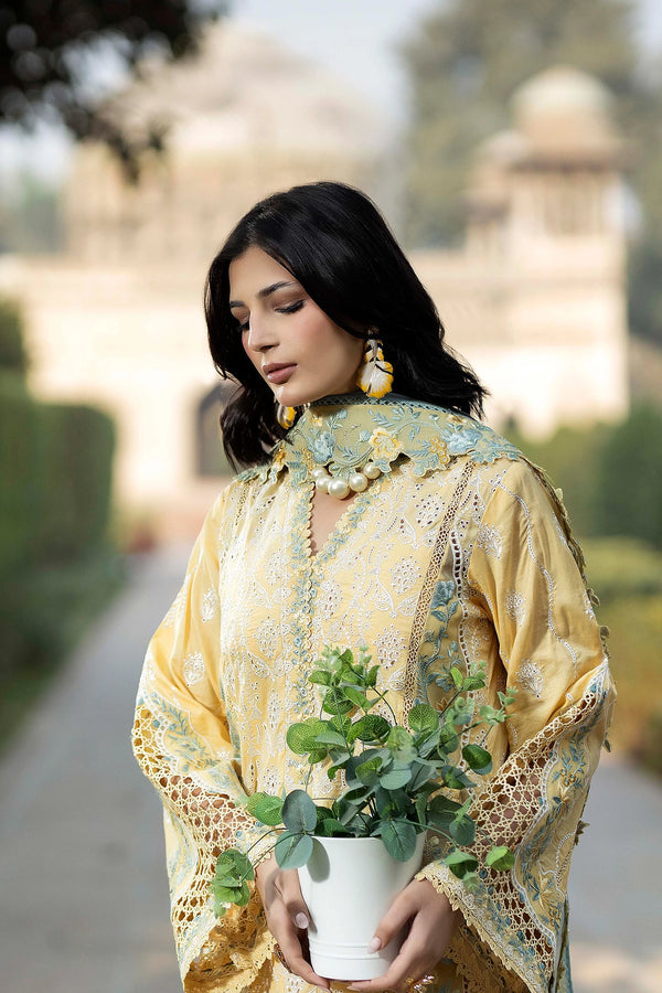 Adans Libas | Adans Tradition | TRADITION 1671 - by Libasekhas UK - Registered Vendor of : Adans Libas - 100% Original Designer Dress