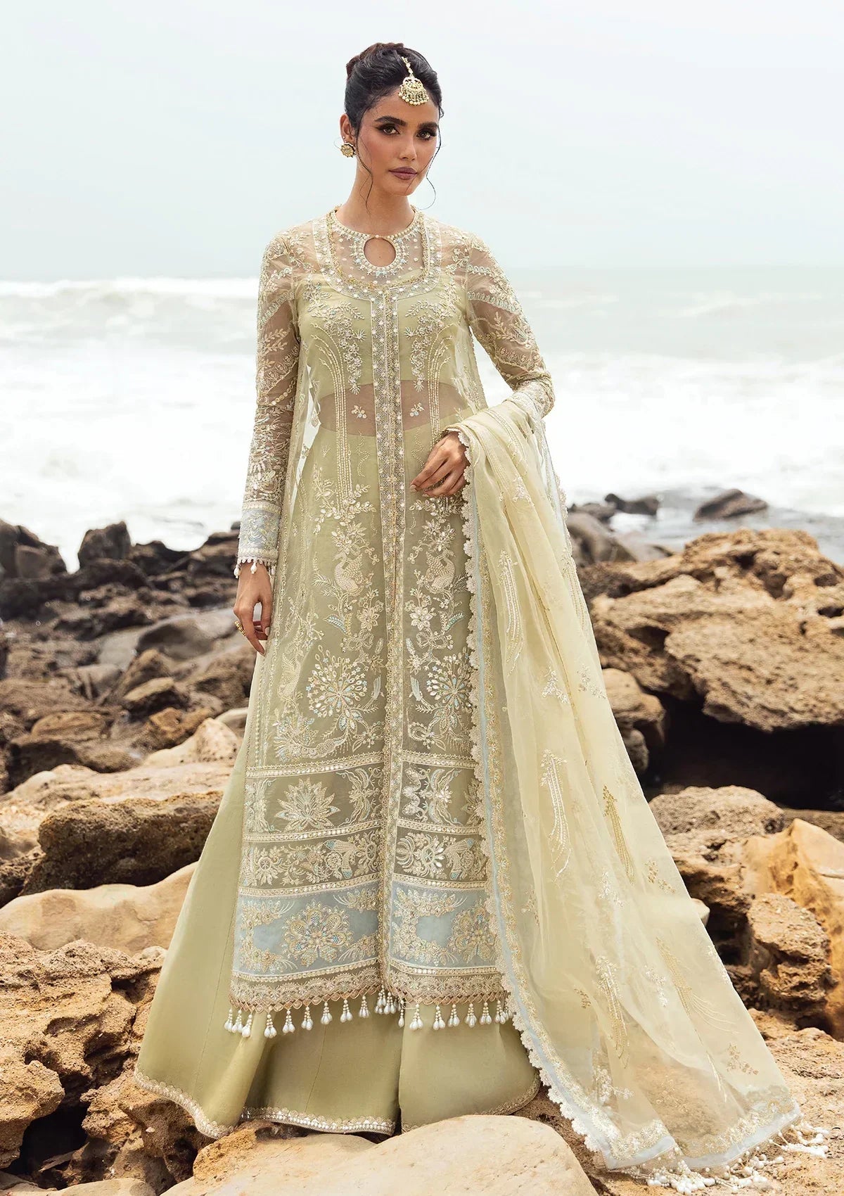 Afrozeh | Dastangoi Wedding Formal'24 | AWE-09 LEELA - Libasekhas