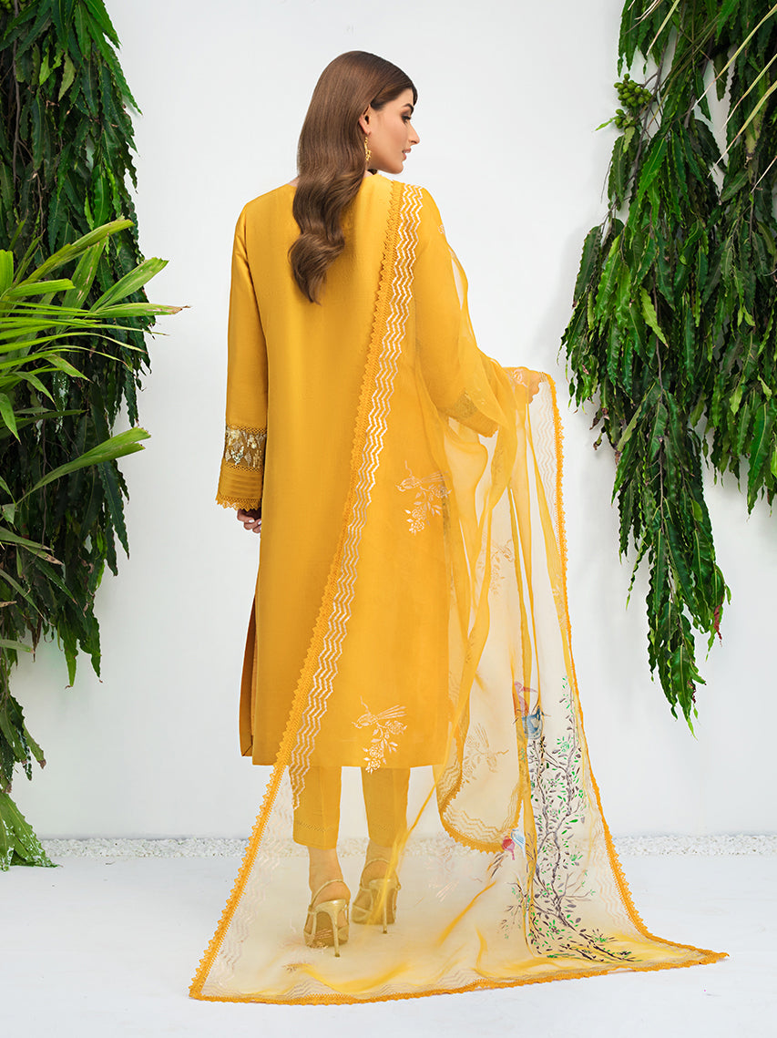 Anam Akhlaq | Festive Collection | D-10 - by - Libasekhas UK - Registered Vendor of : Anam Akhlaq - 100% Original Designer Dresss