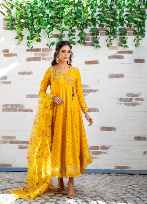 Anam Akhlaq | Festive Collection | D-12 - by - Libasekhas UK - Registered Vendor of : Anam Akhlaq - 100% Original Designer Dresss
