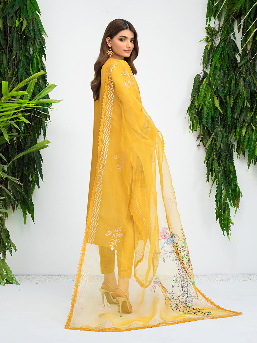 Anam Akhlaq | Festive Collection | D-10 - by - Libasekhas UK - Registered Vendor of : Anam Akhlaq - 100% Original Designer Dresss
