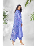 Anam Akhlaq | Festive Collection | D-21 - by - Libasekhas UK - Registered Vendor of : Anam Akhlaq - 100% Original Designer Dresss