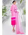 Anam Akhlaq | Festive Collection | D-22 - Formal -  Libasekhas