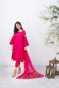 Anam Akhlaq | Festive Collection | D-16 - by - Libasekhas UK - Registered Vendor of : Anam Akhlaq - 100% Original Designer Dresss