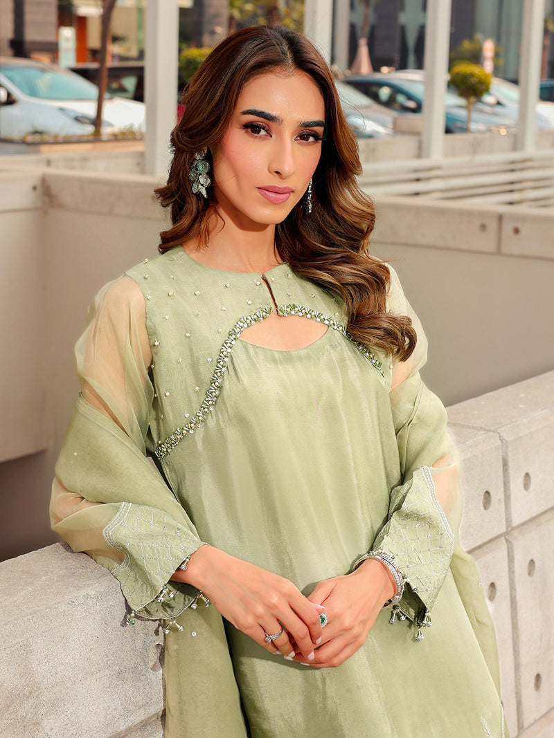 Ain | Raya Luxury Formals | AN-170 BERYL - by Libasekhas UK - Registered Vendor of : Ain - 100% Original Designer Dress