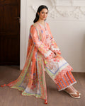 Roheenaz | Sunlit Tales Printed Embroidered Edit | Blush tale - by Libasekhas - Registered Vendor of : Roheenaz - 100% Original Designer Dress