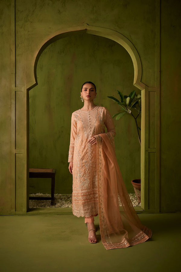 Dhanak | Festive Formals | SS24DU-3199 L-PINK 3Pcs - by - Libasekhas UK - Registered Vendor of : Dhanak - 100% Original Designer Dresss