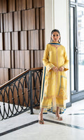 Dhanak | SS 25 Luxury Pret | SS25DL-0316 - by - Libasekhas UK - Registered Vendor of : Dhanak - 100% Original Designer Dresss