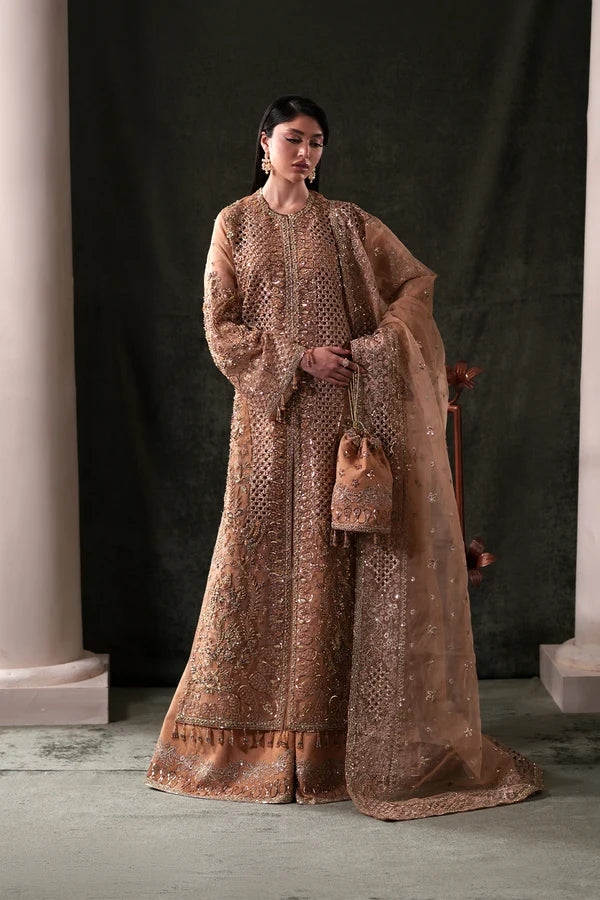 Emaan Adeel | Starlit Jewels | Gown & Plazo- Hessonite