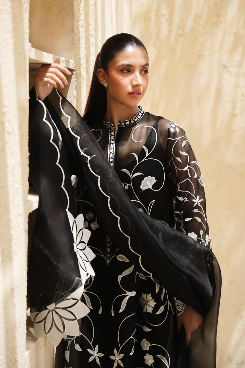 Sania Maskatiya | Eid ul Adha Edit | Fia (B) - by Libasekhas - Registered Vendor of : Sania Maskatiya - 100% Original Designer Dress