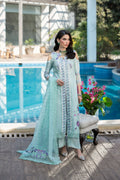 Tabyaa | Ruby Collection 25 | Feroza - by Libasekhas UK - Registered Vendor of : Tabyaa - 100% Original Designer Dress