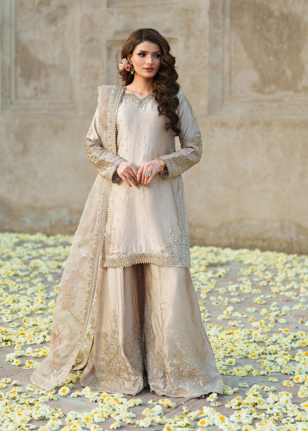 Haseens | Riwayat Luxe | Mahrani - by Libasekhas UK - Registered Vendor of : Haseens - 100% Original Designer Dress