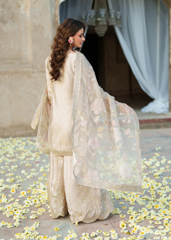 Haseens | Riwayat Luxe | Mahrani - by Libasekhas UK - Registered Vendor of : Haseens - 100% Original Designer Dress