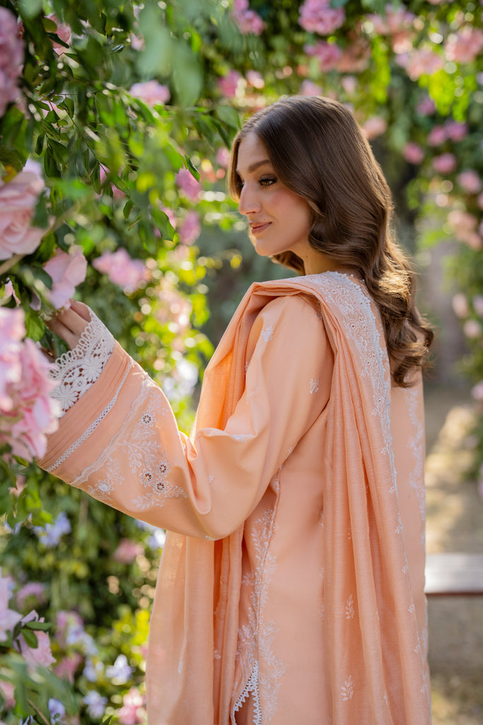 Florent | Chikankari Eid 25 | FLC-1B - by - Libasekhas UK - Registered Vendor of : Florent - 100% Original Designer Dresss