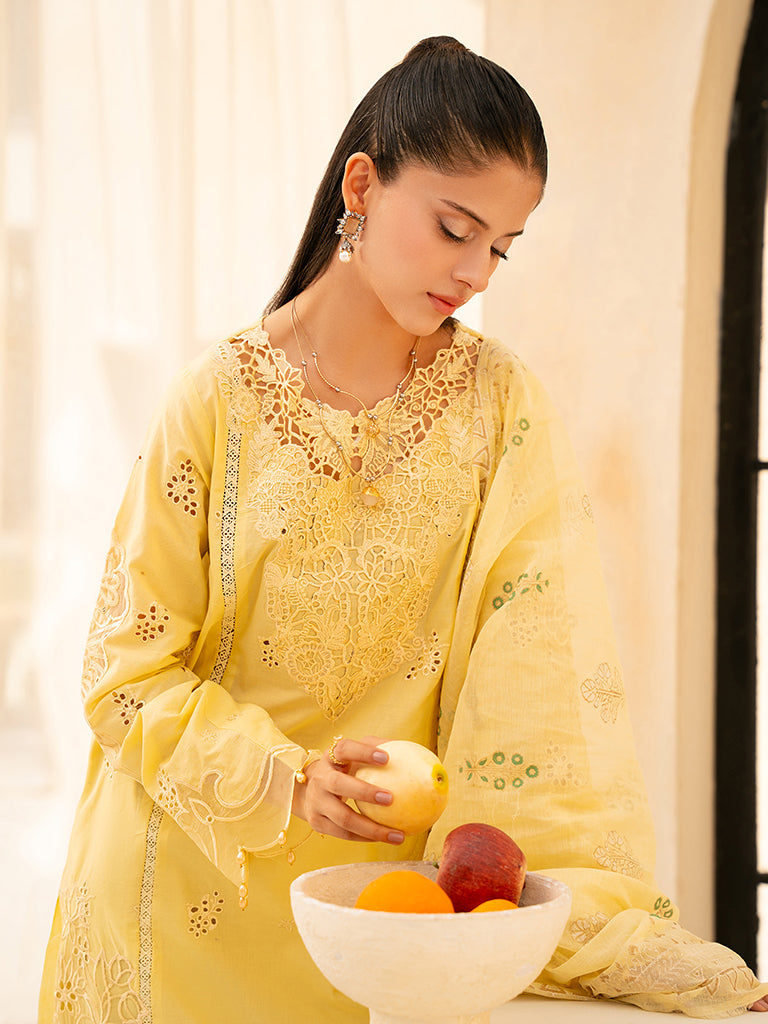 Rajbari | Jahaan Premium Festive Lawn | ORIYA (Jahan) 6-A - by - Libasekhas UK - Registered Vendor of : Rajbari - 100% Original Designer Dresss