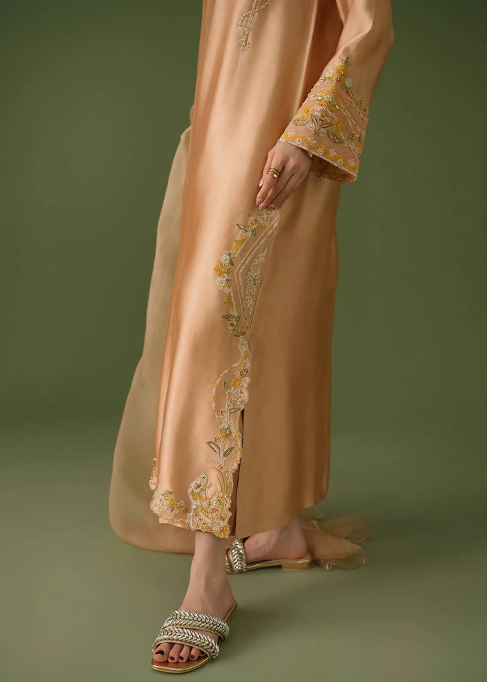 Jeem | Celestial Luxe Formals | CORAL MUSE - by Libasekhas UK - Registered Vendor of : Jeem - 100% Original Designer Dress