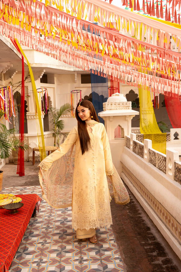 Florent | Basant Chikankari | FBC - 2A - by Libasekhas UK - Registered Vendor of : Florent - 100% Original Designer Dress
